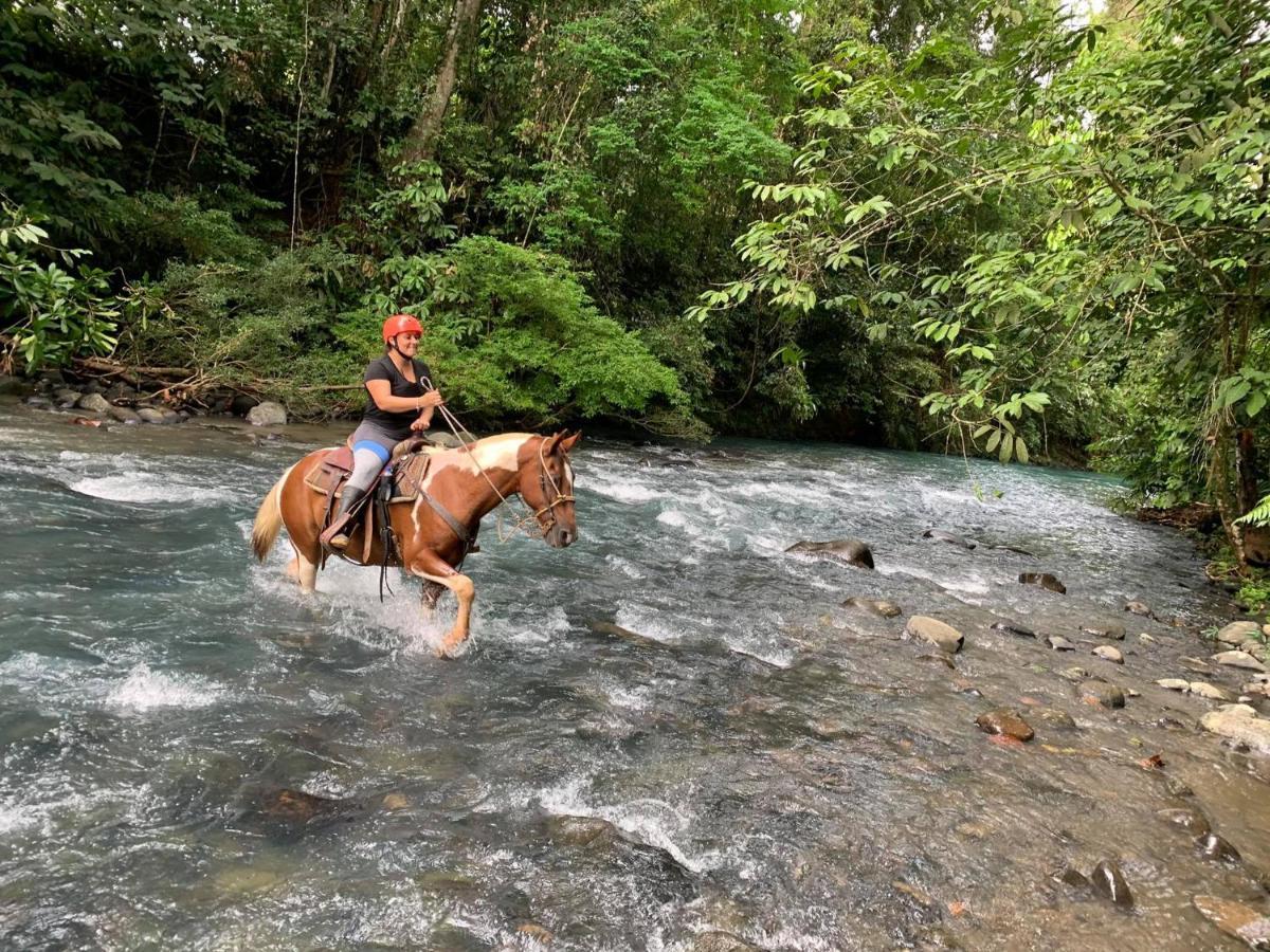 Hotel Suenoreal Rioceleste Rio Celeste ภายนอก รูปภาพ