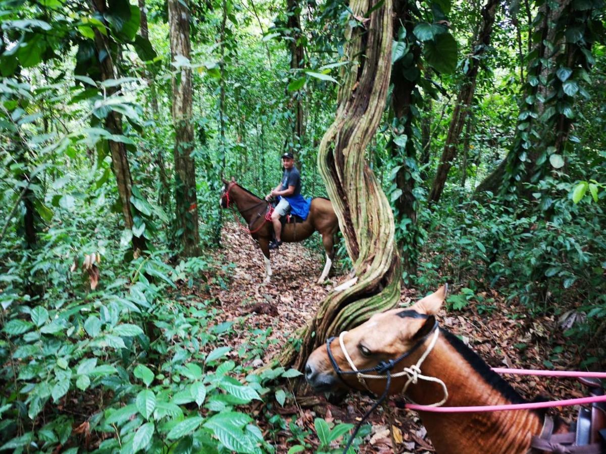 Hotel Suenoreal Rioceleste Rio Celeste ภายนอก รูปภาพ